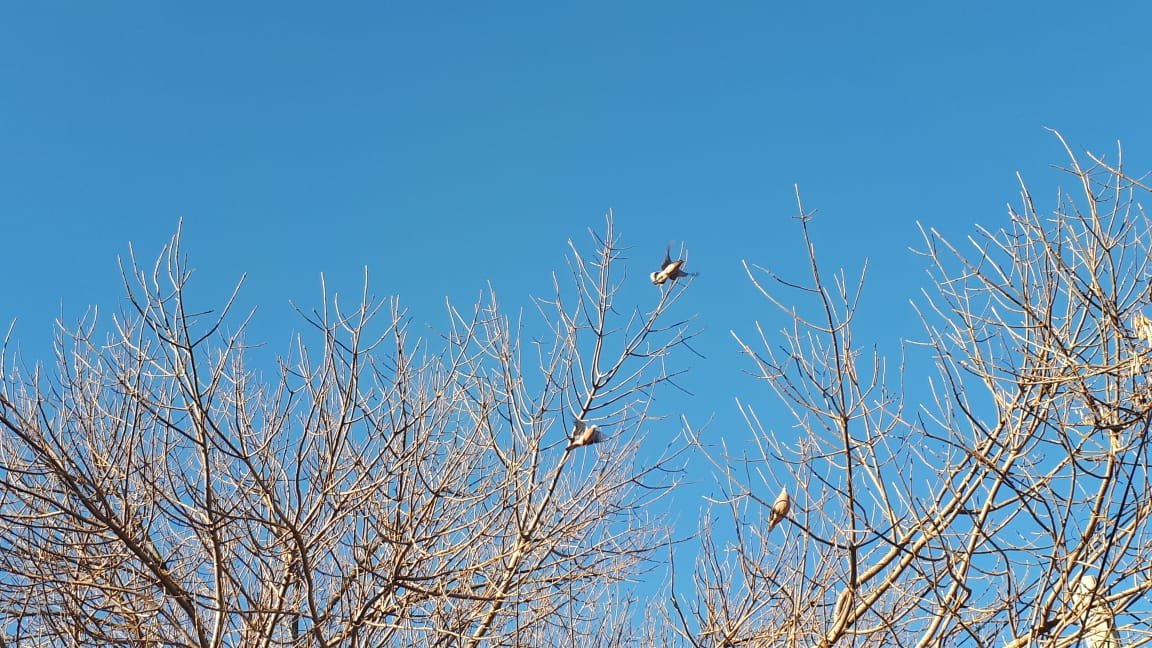 Domingo de sol y una máxima de 25 grados