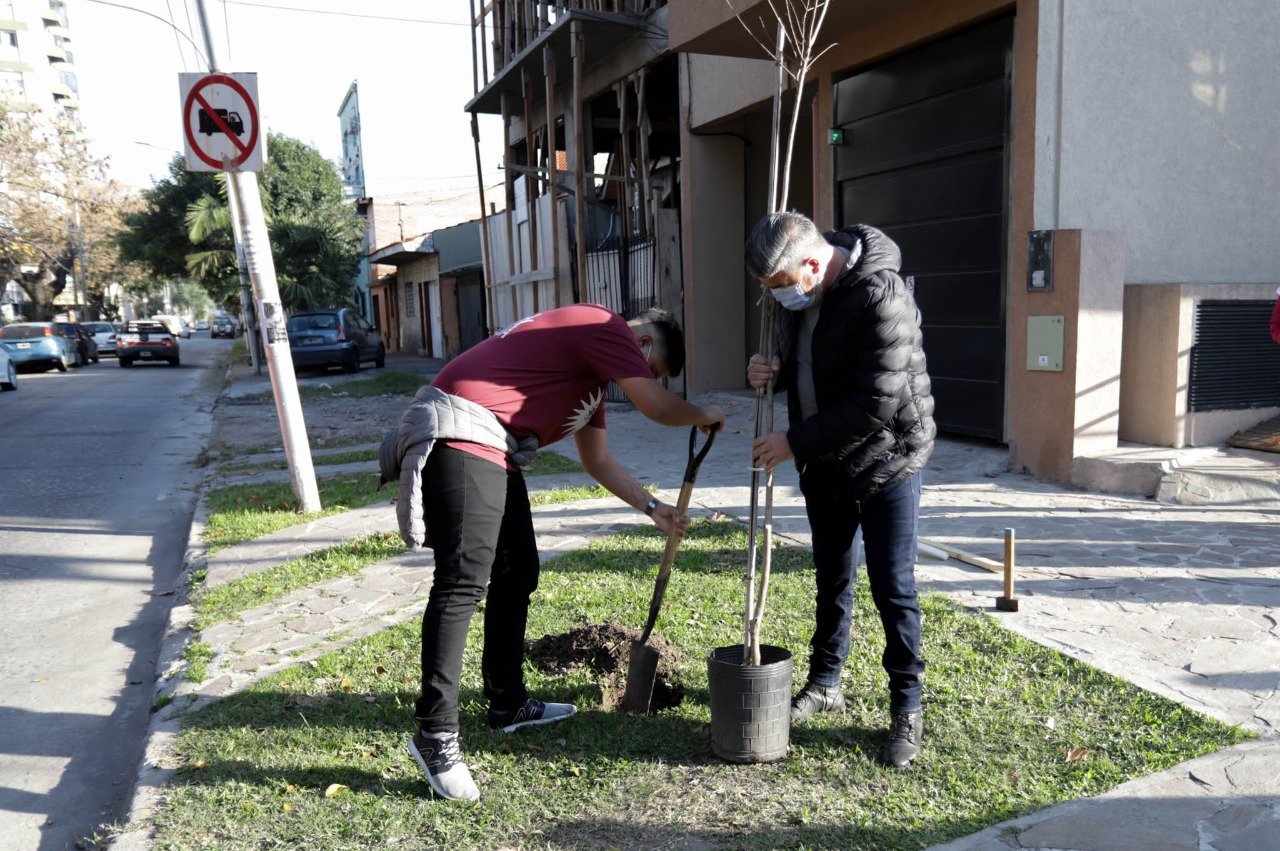 Reemplazan más de 20 árboles en Remedios de Escalada