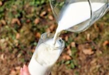 1° de junio, Día Mundial de la Leche: INTA AMBA acompaña la tecnología para productores familiares de pasteurización láctea en el sachet
