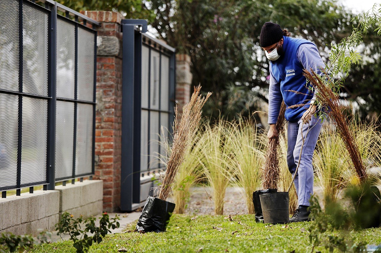 En el mes del ambiente, el Municipio Brown plantó especies nativas en el Parque Industrial