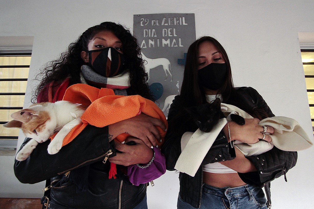 Hoy sábado, Zoonosis realiza operativos de vacunación antirrábica en las localidades