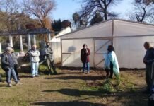 Presidenta del INTA en la inauguración de plantinera en La Matanza