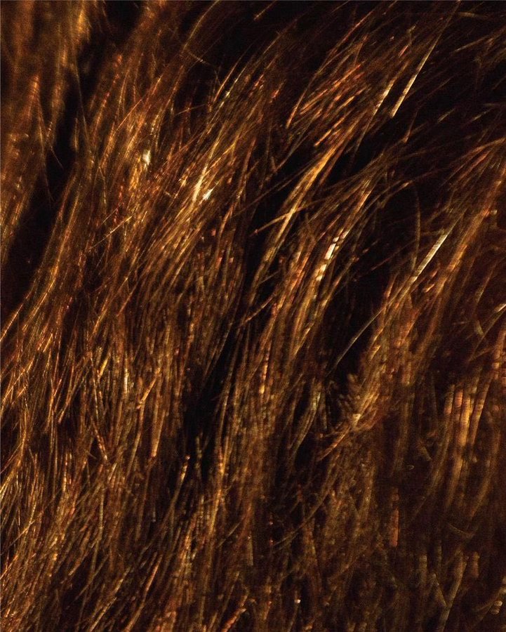 Con un acto en La Plata, Diego Santilli se lanza como precandidato a diputado nacional