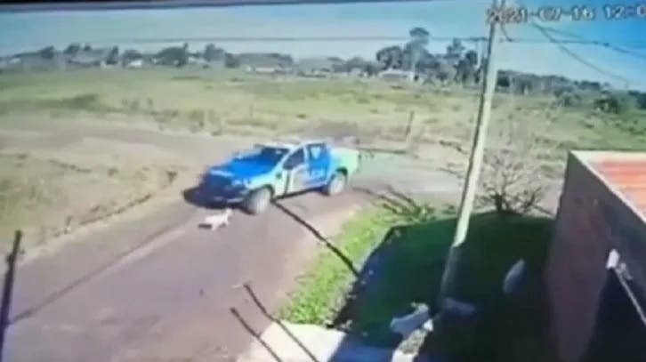 IMÁGENES SENSIBLES Piden que los aparten de las fuerzas: investigan a policías por perseguir y atropellar a un perro