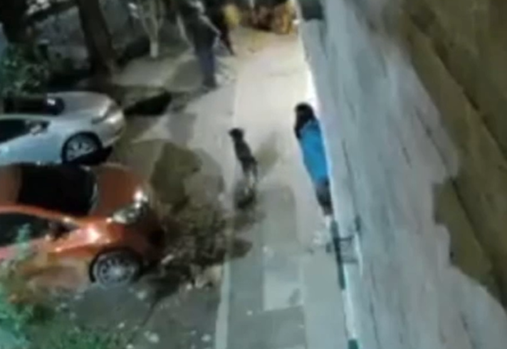 Le dio una patada a un ladrón con cuchillo y salvó a una mujer asaltada en la estación de Coghlan