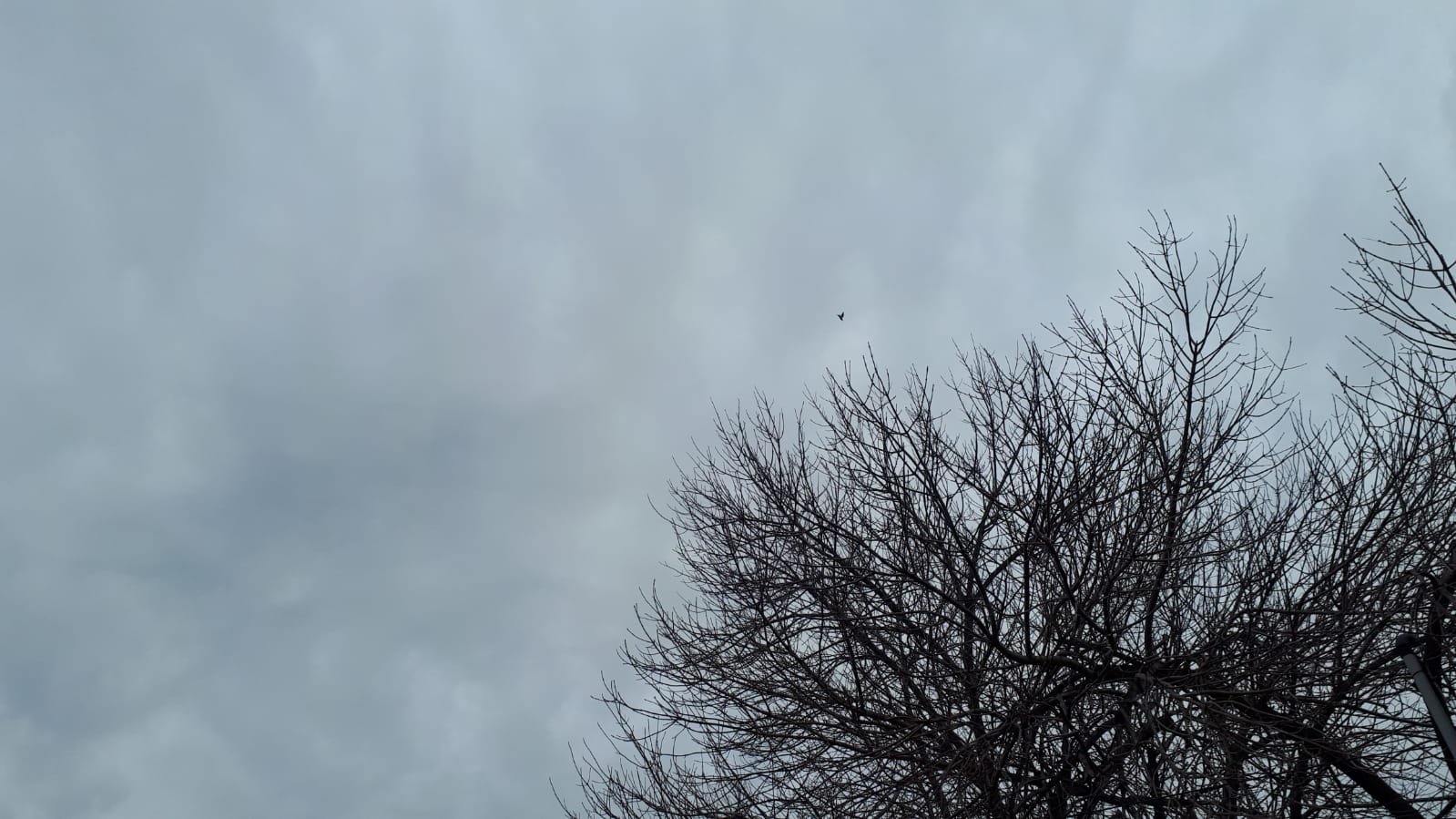 Miércoles con lluvias y una máxima de 13 grados