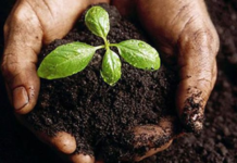 7 de julio, Día de la Conservación del Suelo: actividades del INTA AMBA