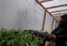 La Matanza: construyen plantinera agroecológica para la comunitaria