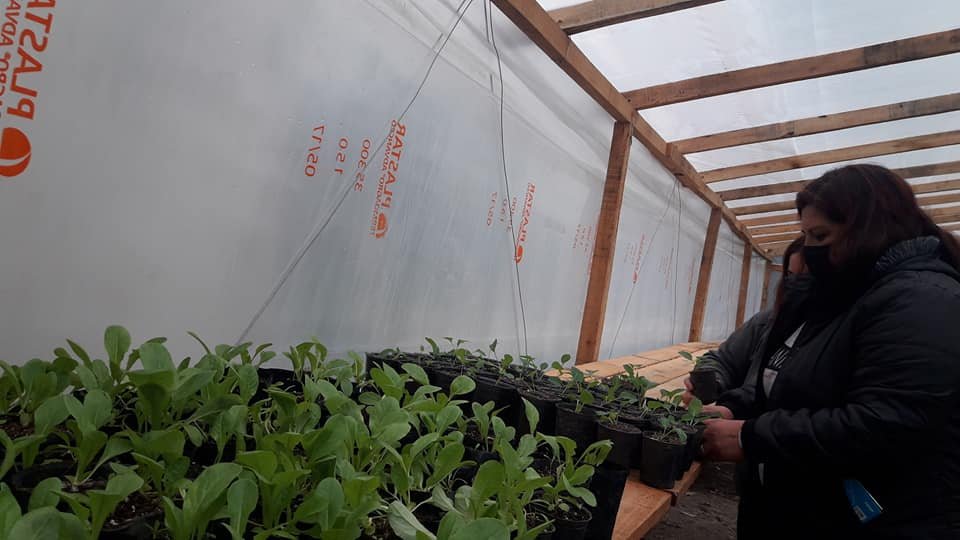 La Matanza: construyen plantinera agroecológica para la comunitaria