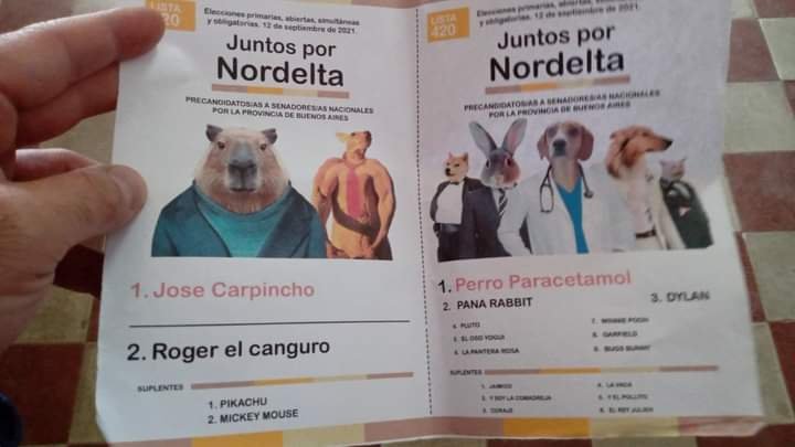 #PASO2021 “Juntos por Nordelta”: la lista de candidatos carpinchos que apareció en algunas escuelas