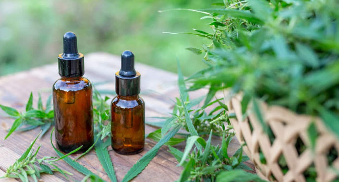 Ordenan que se autorice la importación de aceite de cannabis para tratar epilepsia refractaria