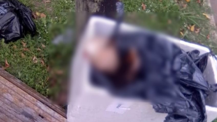Hallan a un empleado de una maderera descuartizado dentro de una bolsa en Sarandí
