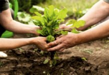 INTA AMBA trabaja con la Universidad de Liverpool en promover la resiliencia de los sistemas agroalimentarios