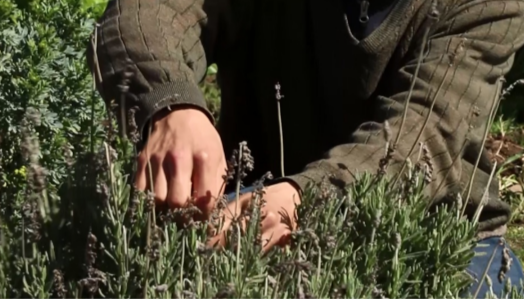 243493804_2202015826603115_6595600743879149244_n