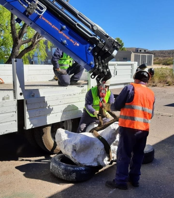 Un equipo de Enel Generación El Chocón ayudó a trasladar los huesos de un dinosaurio para su conservación y estudio