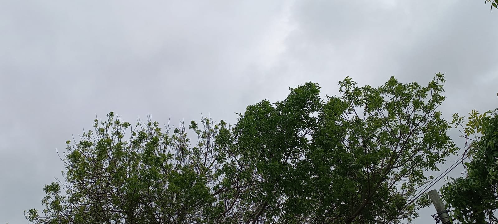 Miércoles inestable y con una máxima de 21 grados