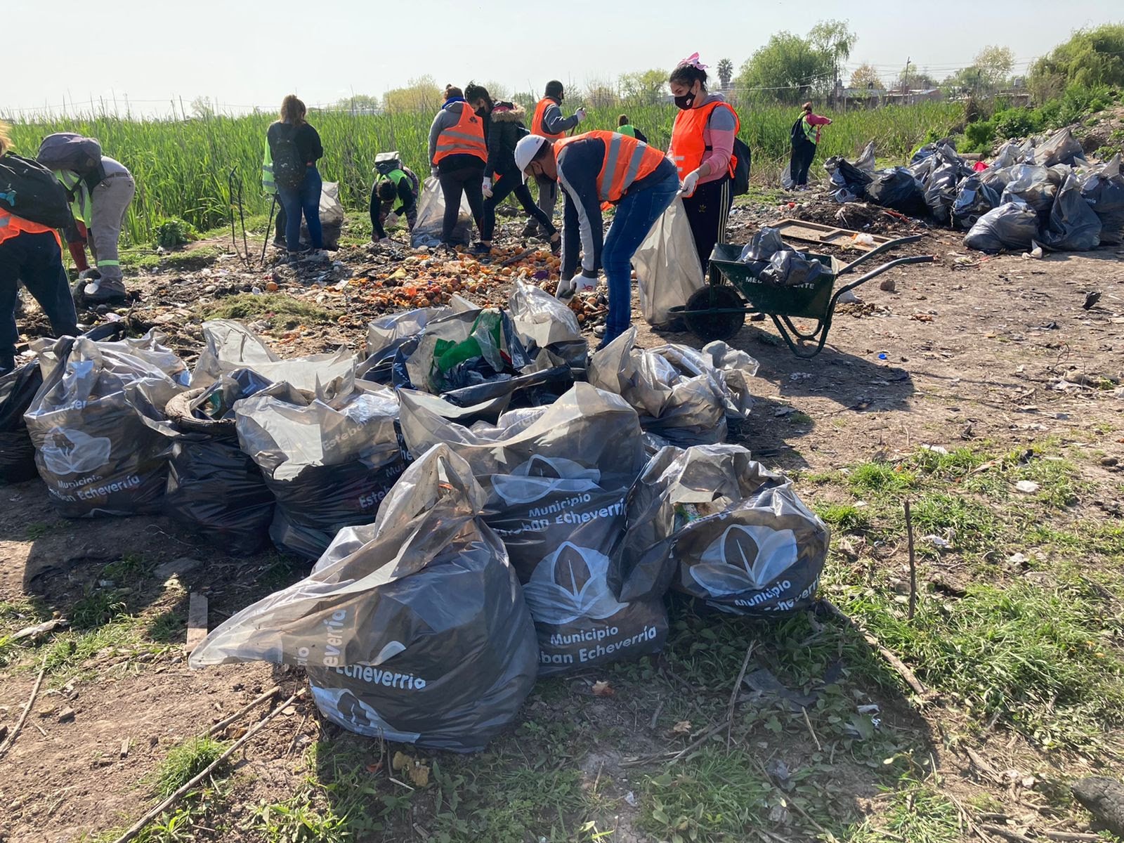 Limpieza y reciclaje en el área de Laguna de Rocha