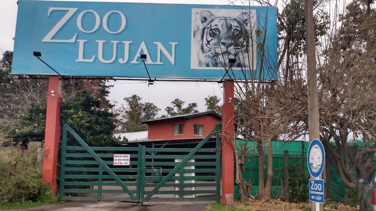 Denuncian penalmente al dueño del zoológico de Luján por violencia animal