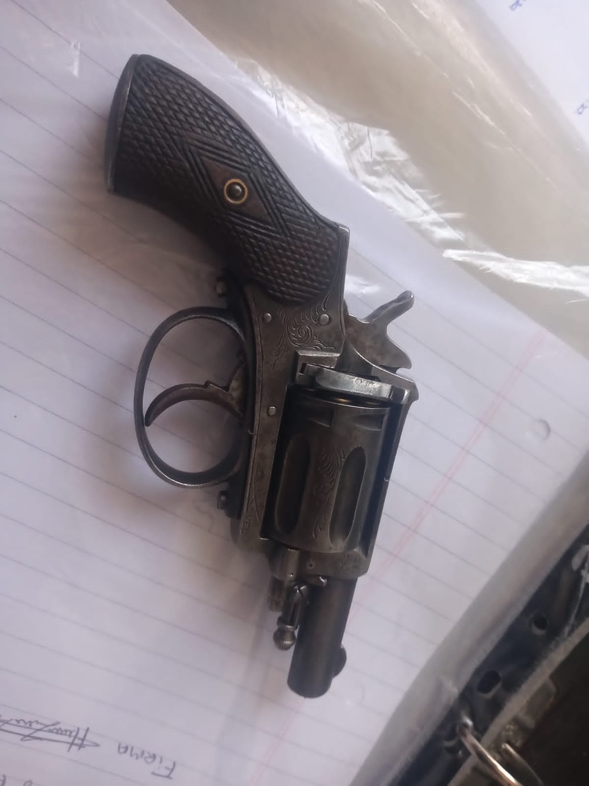 La Plata: lo detienen por sacar el revolver en la escuela