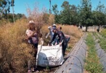 Florencio Varela: el INTA y el Proyecto Local de Semillas