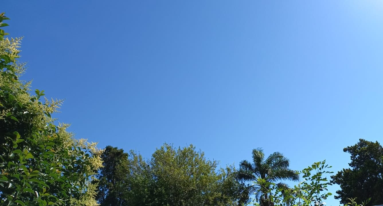 Martes apenas nublado y con una máxima de 27 grados