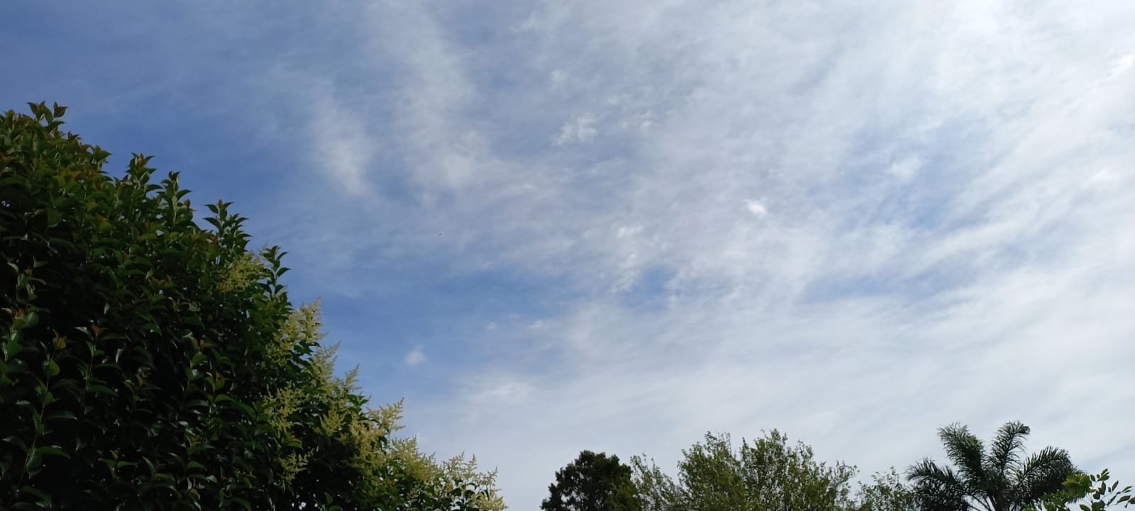 Jueves primaveral con una máxima de 27 grados