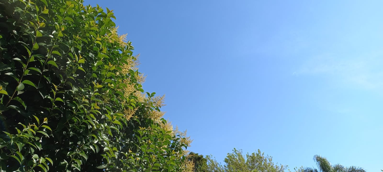 Tras el calor agobiante, miércoles de alivio: 27° de máxima