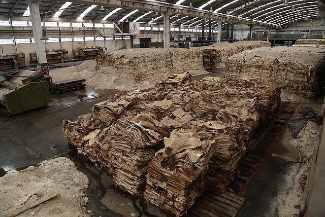 Allanamiento y clausura de curtiembre