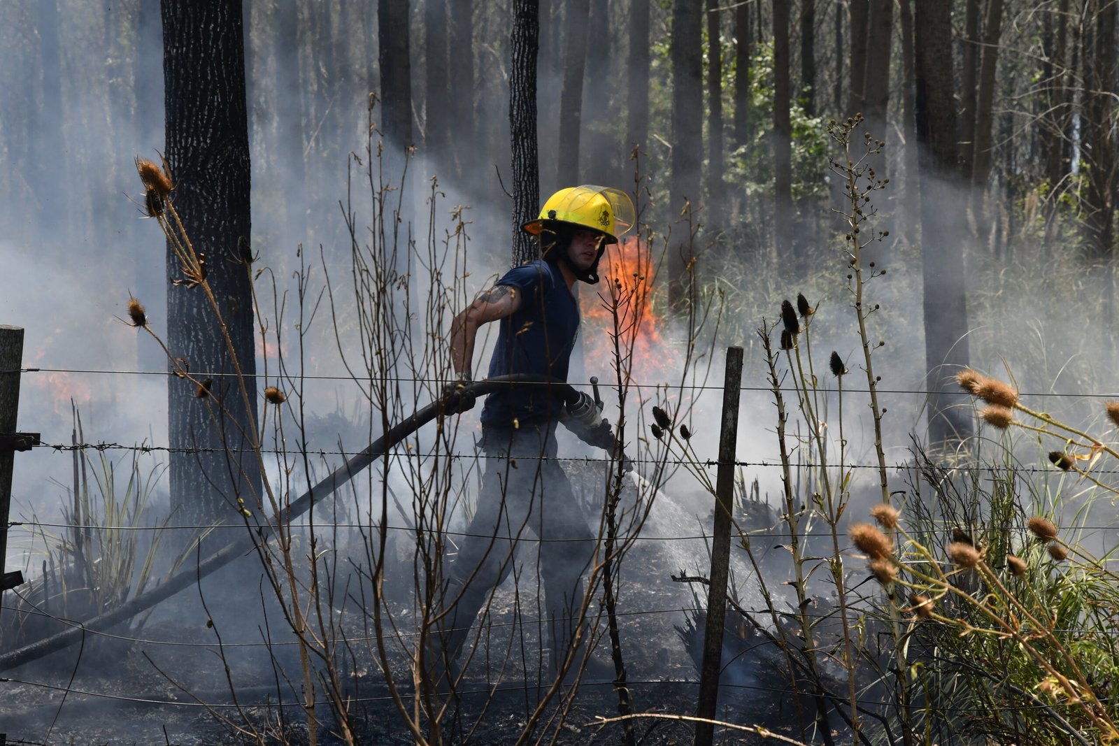 Todavía quedan focos: treinta dotaciones de bomberos trabajan para sofocar el fuego en pastizales de Canning