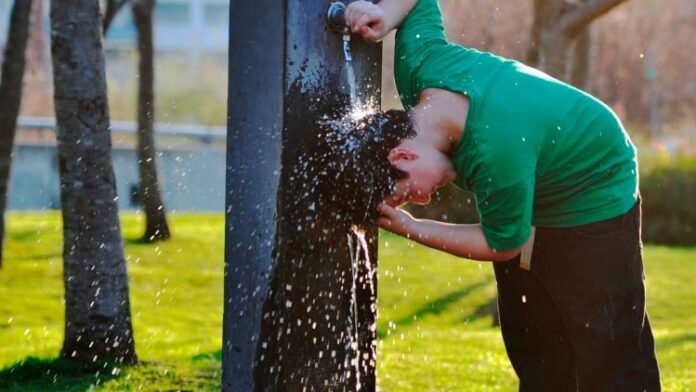 CALOR