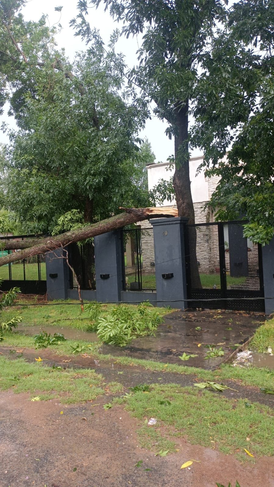 Tormenta de verano: además de zonas anegadas y algunos daños, 80 mil usuarios sin luz