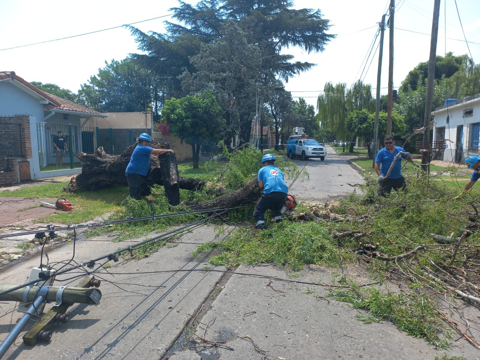 Operativo del Municipio de Brown frente al temporal que afectó a la región