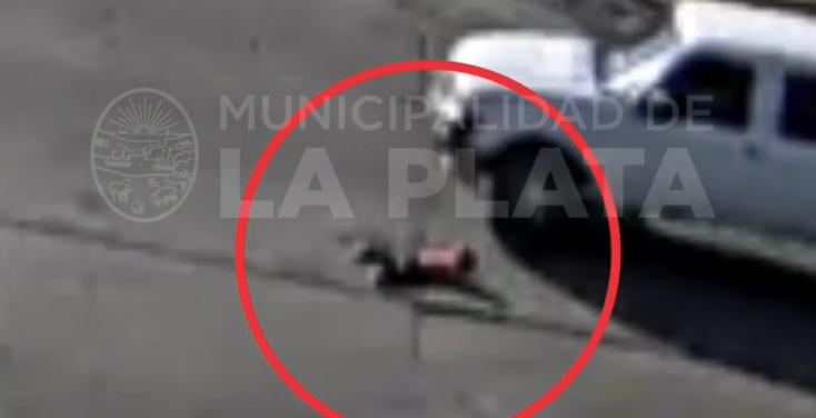 Susto en La Plata: un niño cayó de un auto en movimiento