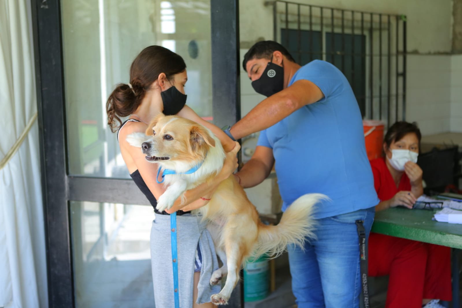 Control y vacunación antirrábica para mascotas