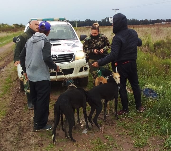 Caza ilegal en Brandsen: demoraron a dos galgueros