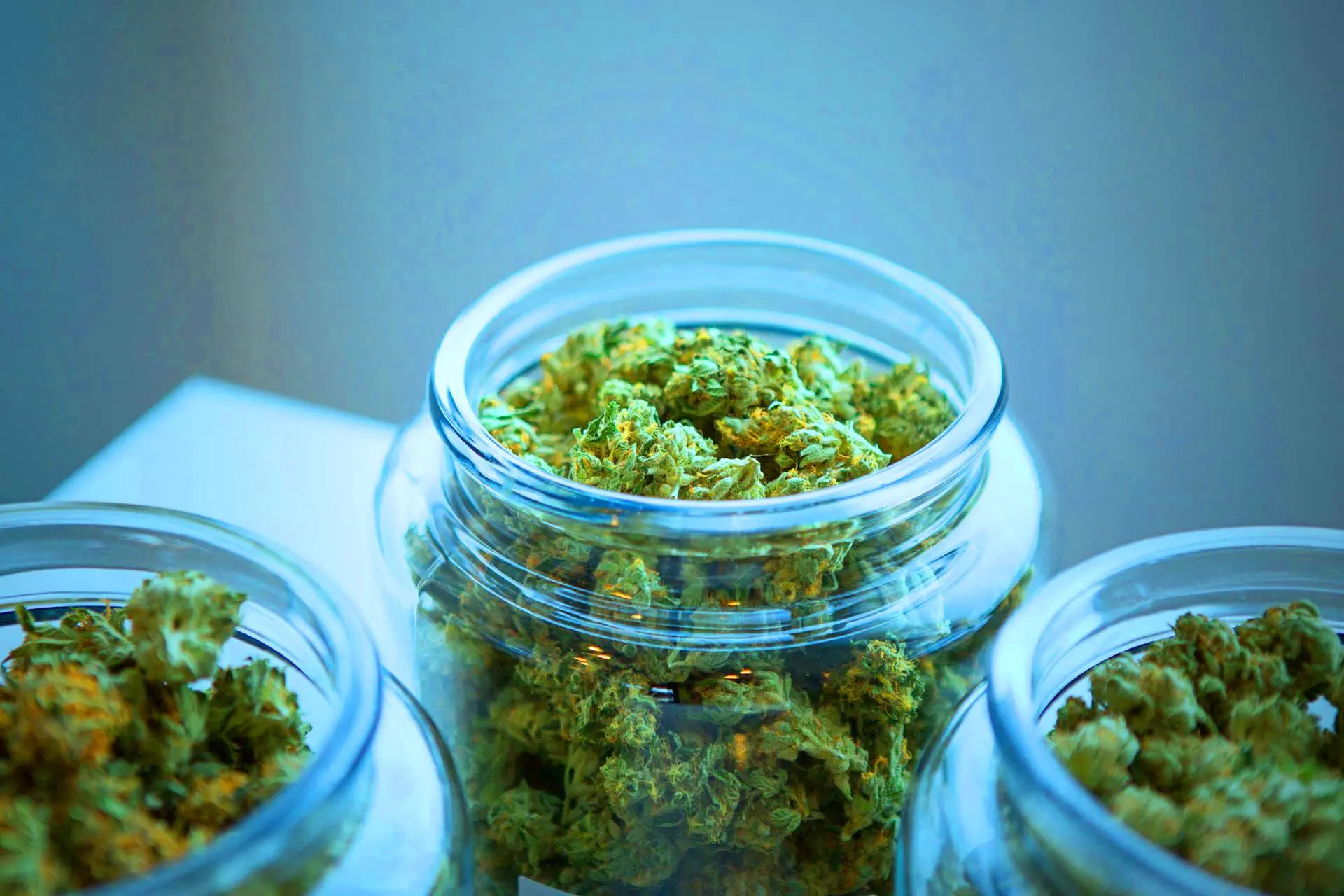 La Defensoría bonaerense ayudará a las ONG que busquen ser proveedoras de cannabis medicinal