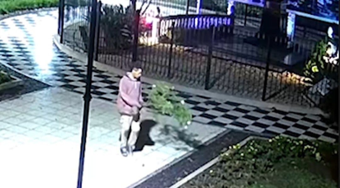 Robaba plantas de la plaza de Monte Grande