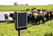 Experiencia del INTA AMBA con energía solar en el campo