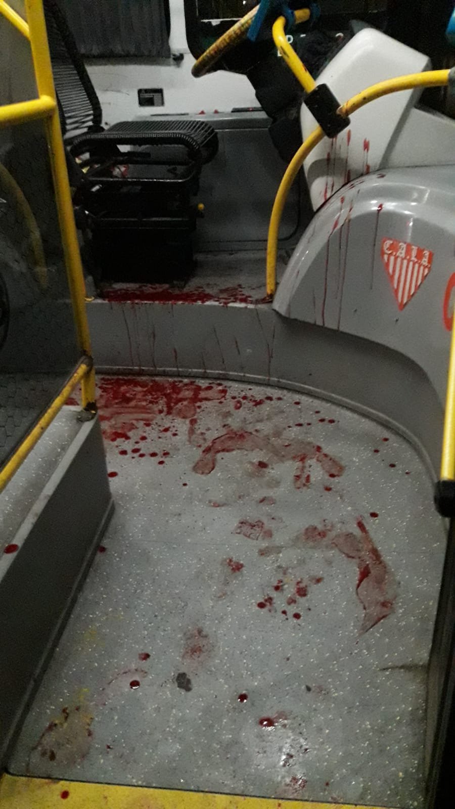 Lomas de Zamora: por feroz ataque a colectivero, paran choferes de las líneas 540 y 553