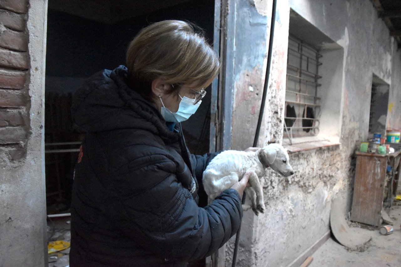 Rescate de animales en Alejandro Korn