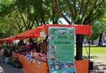 Presidente Perón: “Conectando mano a mano familias productoras y consumidores”, la Primera Feria de 2022