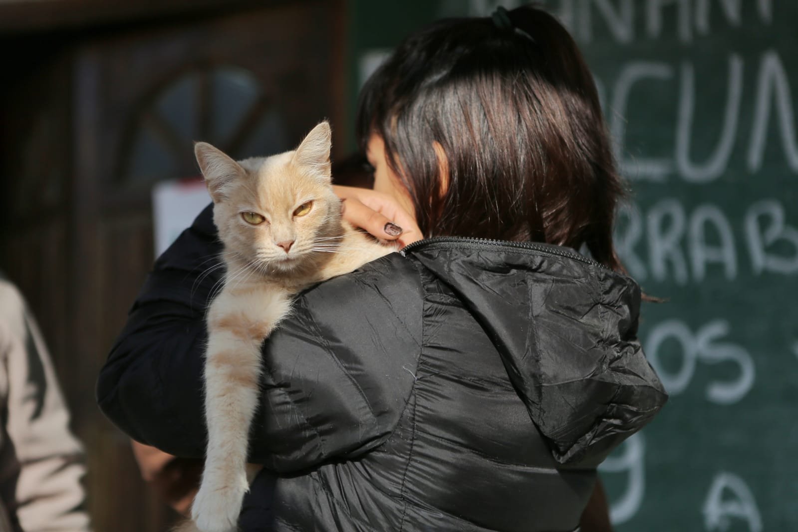 Jornada de vacunación y control de mascotas en 9 de Abril