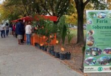 Agenda INTA en Guernica: nueva edición de la Feria Soberana “Conectando mano a mano familias productoras y consumidores”