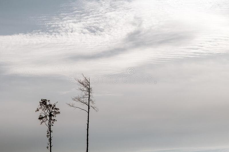 Miércoles con cielo nublado y una máxima de 18 grados