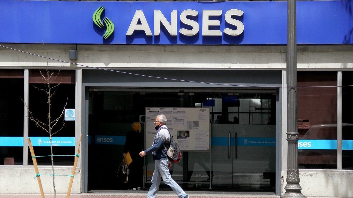 ANSES: En qué consiste el análisis socioeconómico del refuerzo de ingresos
