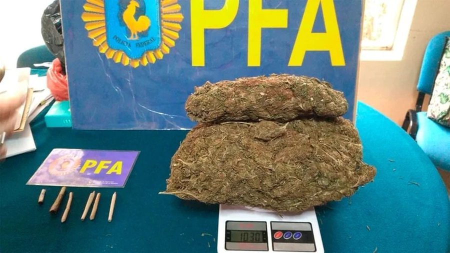 Secuestran un kilo de marihuana en el interior de una escuela de la Universidad de La Plata