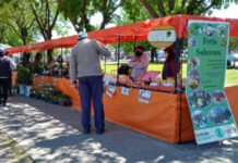 Guernica: Feria Soberana “Conectando mano a mano familias productoras y consumidores”