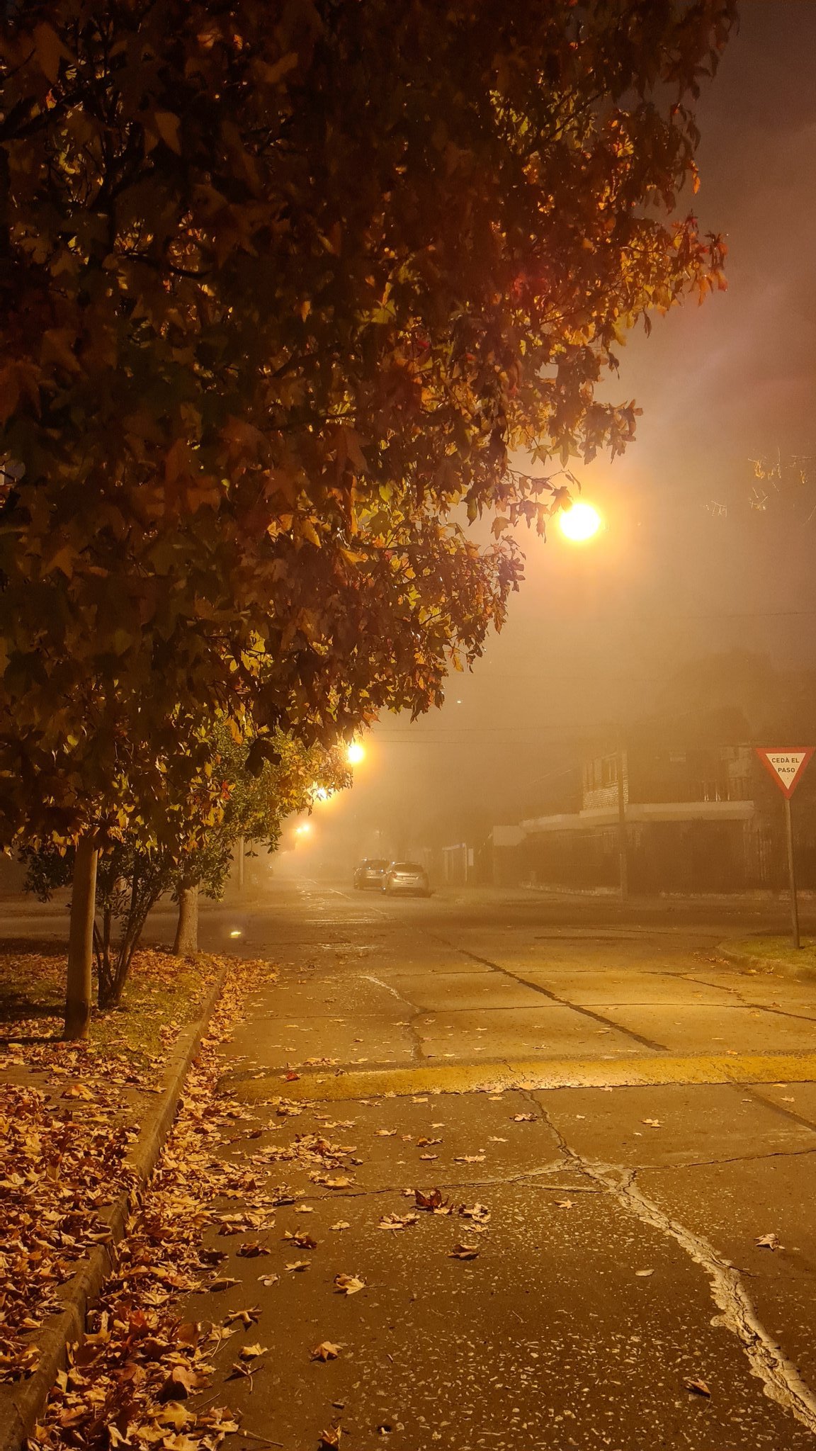 Otra jornada con neblina y una mínima de 9 grados