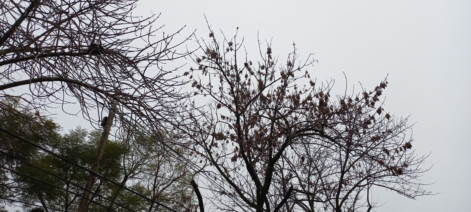 Martes inestable con una máxima de 21 grados