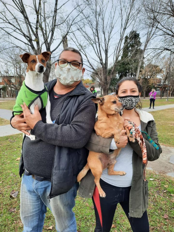 Zoonosis realiza este sábado operativos de vacunación antirrábica en Calzada, Mármol y Claypole